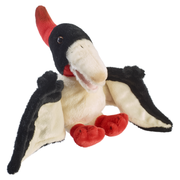 Pteranodon asezat 25 cm [1]