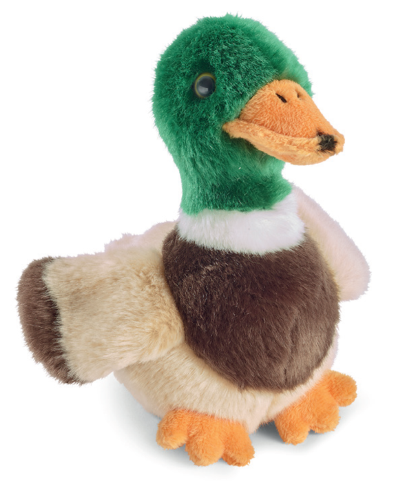 Rata salbatica 21 cm [1]