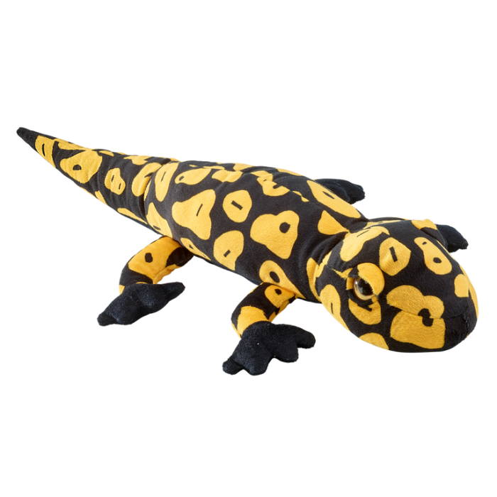 Salamandra patata 68 cm [1]