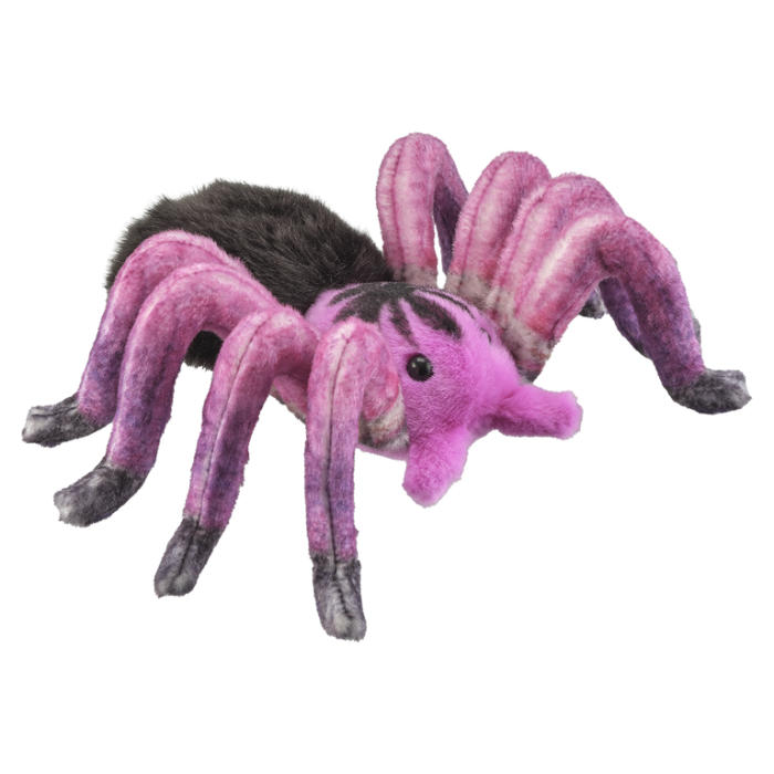 Tarantula Brazilian Bloom roz 17 cm [1]