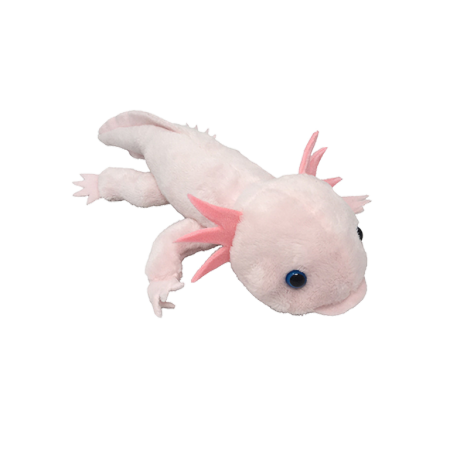 Animale marine - Axolotl 24 cm