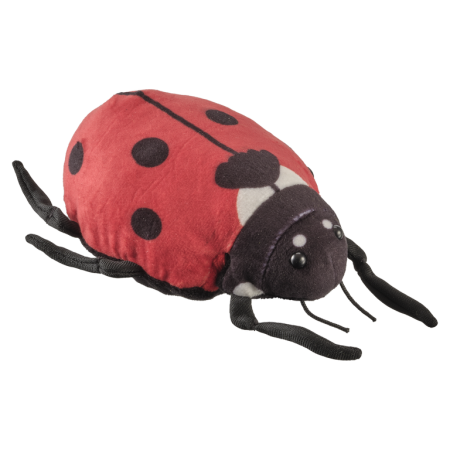 Reptile & insecte - Buburuza 17 cm