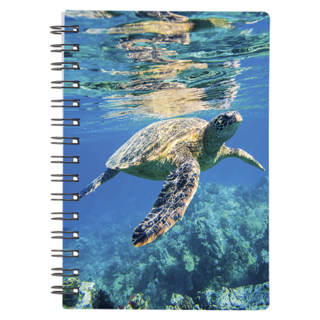 Caiete 3D - Caiet 3D Broasca testoasa de mare 9x13 cm