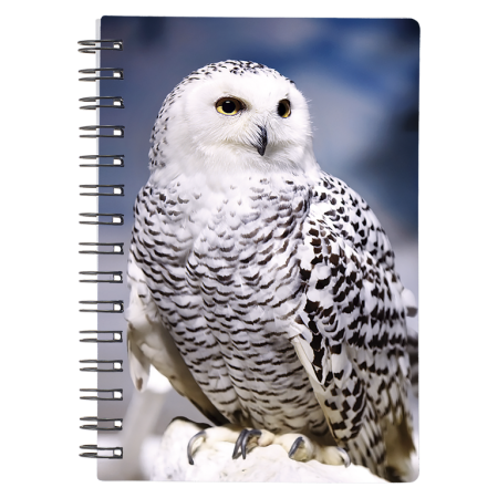 Caiete 3D - Caiet 3D Bufnita de zapada 9x13 cm