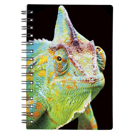 Caiete 3D - Caiet 3D Cameleon 9x13 cm