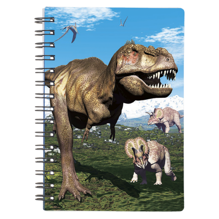 Caiete 3D - Caiet 3D Dinozauri 9x13 cm