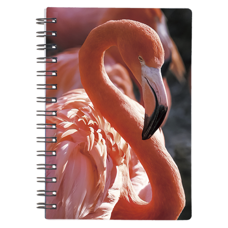 Caiete 3D - Caiet 3D Flamingo 9x13 cm