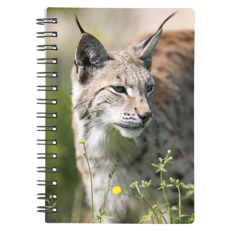 Caiete 3D - Caiet 3D Lynx 9x13 cm