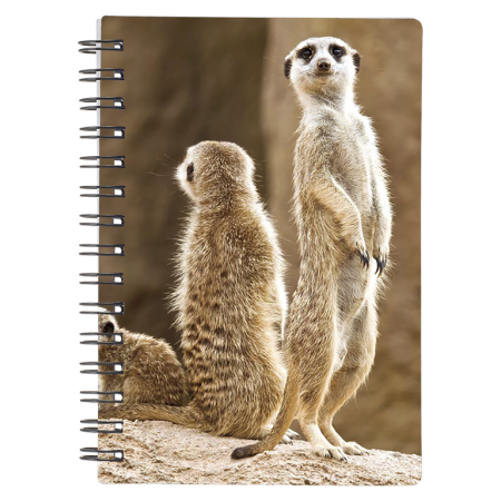 Caiete 3D - Caiet 3D Meerkat 9x13 cm