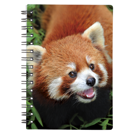 Caiete 3D - Caiet 3D Panda Rosu 9x13 cm