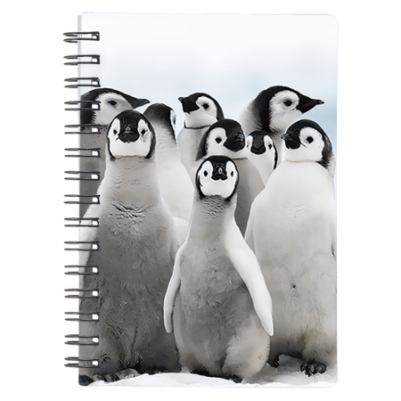 Caiete 3D - Caiet 3D Pui de pinguin 9x13 cm