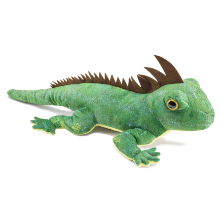 Reptile & insecte - Cameleon pitic Cape verde 50 cm