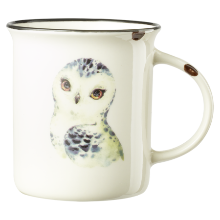 Pasari - Cana bufnita de zapada bebelus alb