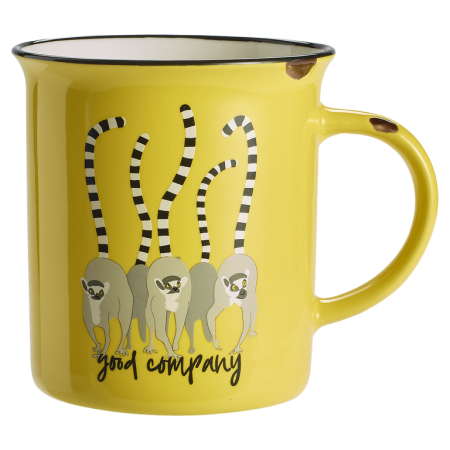 Cani - Cana Lemur cu coada inelata galbena