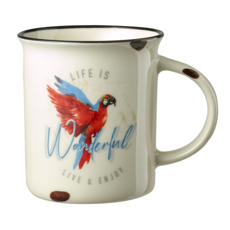 Pasari - Cana Papagal alb