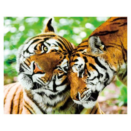 Magneti 3D - Magnet 3D Tigru 7x9 cm