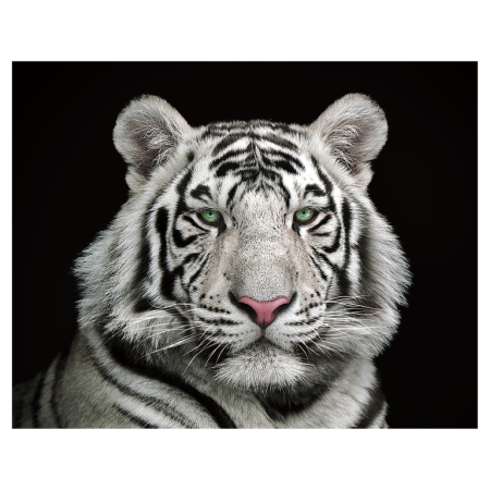 Animale salbatice - Magnet 3D Tigru Alb 7x9 cm