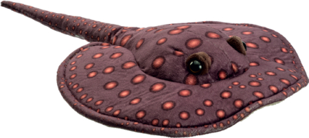 Ocean Friends - Ocean Friends pisica de mare Motoro 26 cm