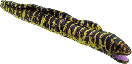 Reptile & insecte - Ocean Friends Tipar Moray 90 cm