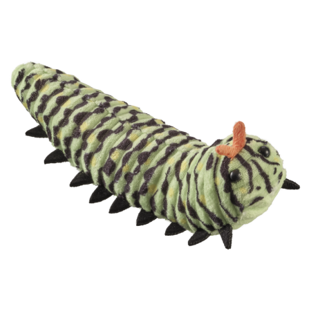 Reptile & insecte - Omida 17 cm