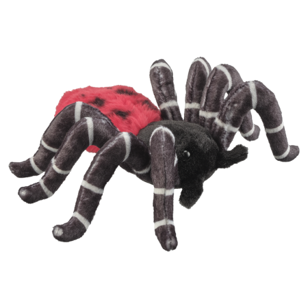 Reptile & insecte - Paianjen buburuza 17 cm