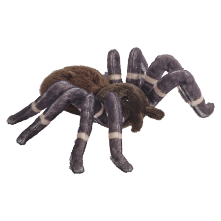 Reptile & insecte - Paianjen maro/bej 17 cm