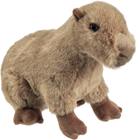 Pasari - Capybara de plus 23 cm