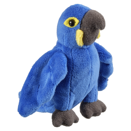 PocketPals - Pocketpals Papagal albastru 11 cm