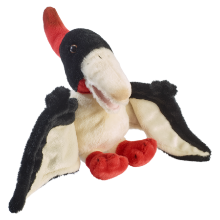 Dinozauri - Pteranodon asezat 25 cm