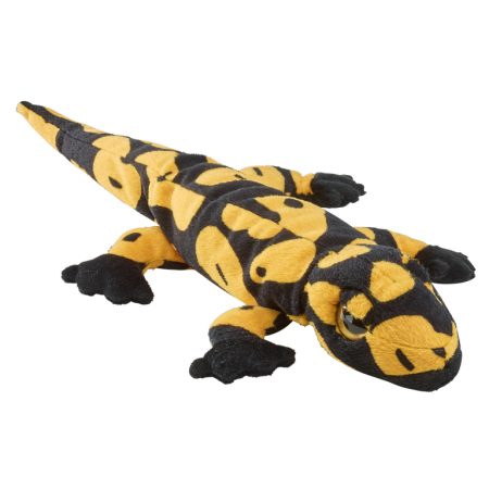 Reptile & insecte - Salamandra patata 40 cm