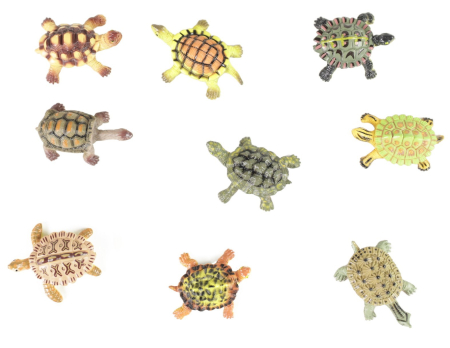 Animals in Tubes - Set 9 broaste testoase la punga