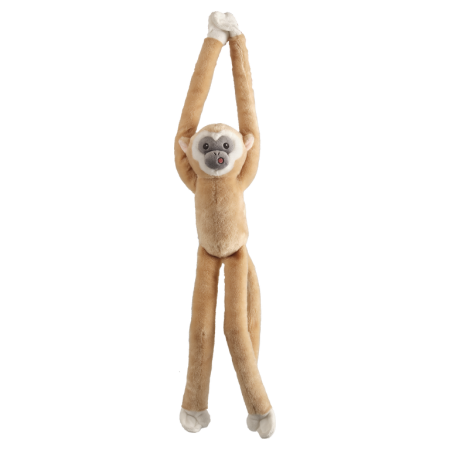 Teasing Monkey - Teasing Monkey Gibon white handed 40 cm