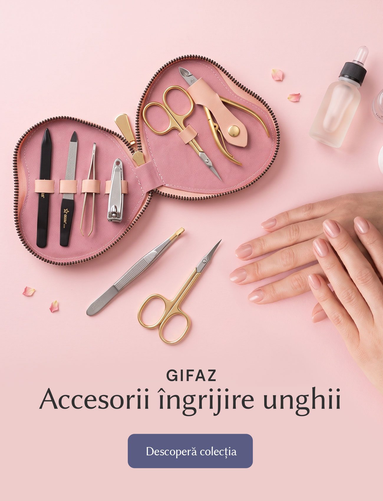 Accesorii gifaz