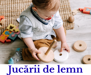 Jucarii de lemn