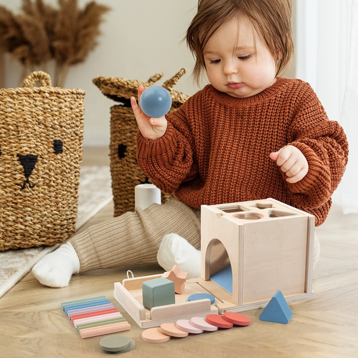Centru educativ Montessori din lemn 4 în 1 pentru învățarea culorilor și formelor [6]