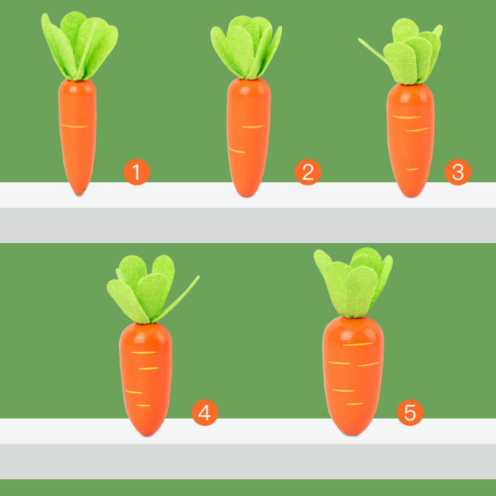 Joc educativ Montessori – Numărăm morcovii (Counting Carrots) [5]