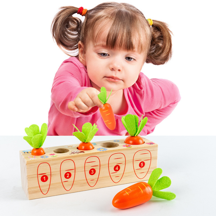 Joc educativ Montessori – Numărăm morcovii (Counting Carrots) [2]