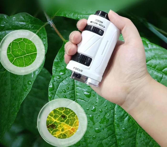 Microscop portabil 60X-180X cu lumină LED și adaptor pentru telefon [2]
