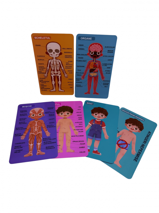 Puzzle educativ din lemn - Anatomia corpului uman pentru copii - Baiat [4]