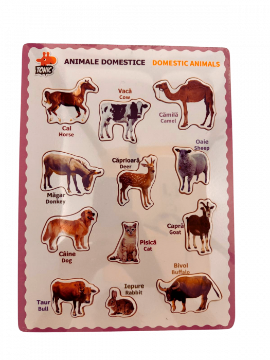 Puzzle educativ din lemn cu animale domestice - denumiri in romana si engleza, stil Montessori [1]