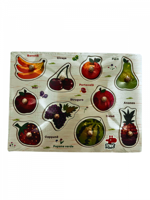 Puzzle lemn incastru “Fructe” 10 piese cu maner – in limba romana [1]