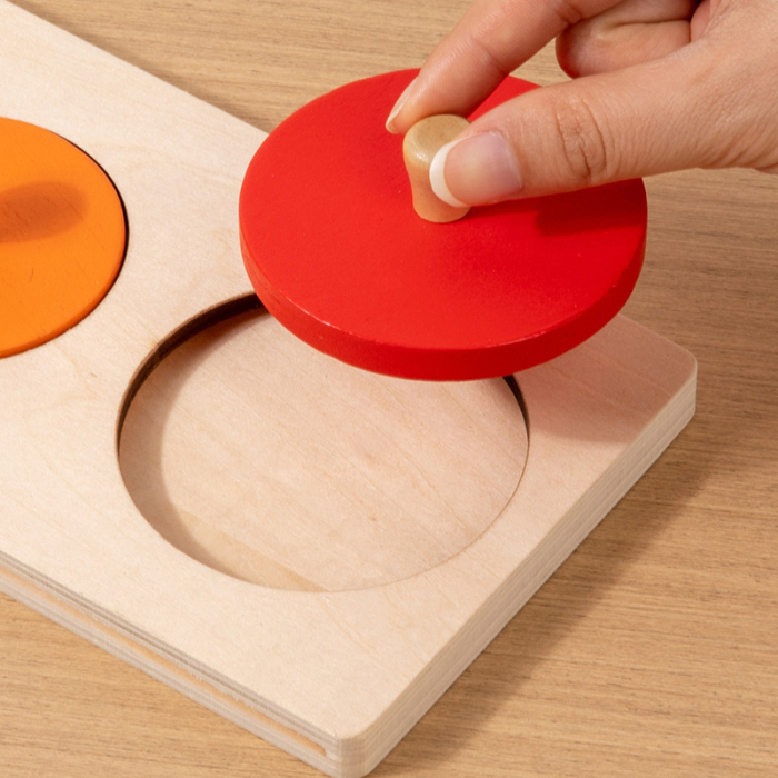 Puzzle Montessori – Descoperă Ciclurile de Viață ale Plantelor și Animalelor [6]