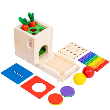 Jucarii pentru Dezvoltare - Cutie Montessori 4 în 1 pentru coordonare si motricitate