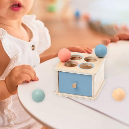 Cutie Montessori din lemn cu bile colorate și sortare [1]