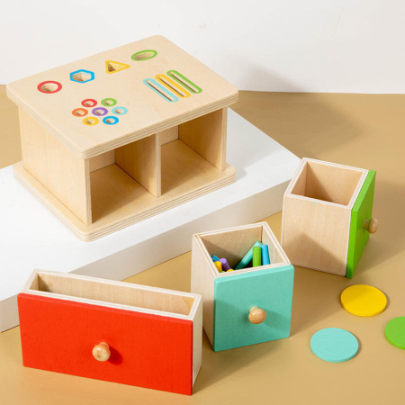 Cutie Montessori din Lemn pentru Sortarea Formelor și Culorilor, 3+ [3]