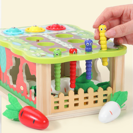 Joc educativ 5 în 1 cu sortator animale și cules de morcovi [1]