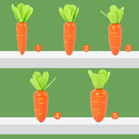 Joc educativ Montessori – Numărăm morcovii (Counting Carrots) [4]