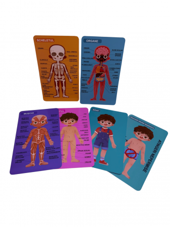 Puzzle educativ din lemn - Anatomia corpului uman pentru copii - Baiat [3]