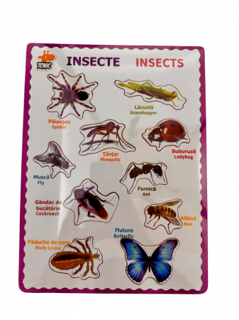 Jucarii educative - Puzzle educativ din lemn cu insecte - denumiri in romana si engleza, stil Montessori