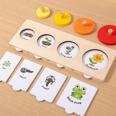 Puzzle Montessori – Descoperă Ciclurile de Viață ale Plantelor și Animalelor [2]